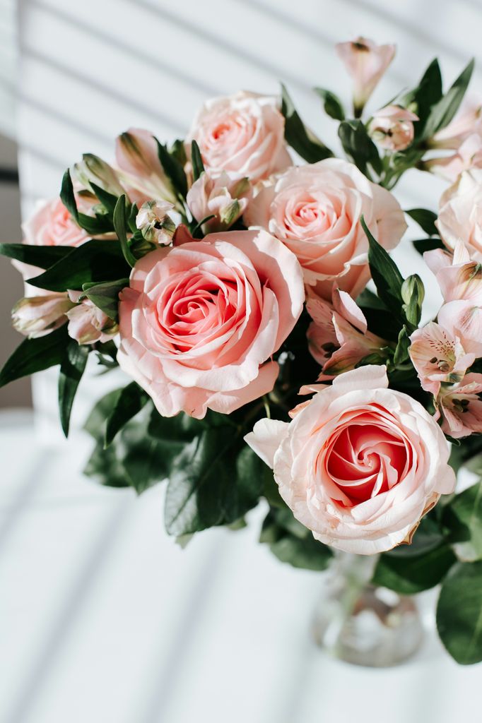 Rosas