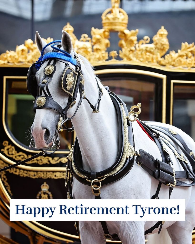 Se retira Tyrone, uno de los caballos más serviciales de Buckingham Palace