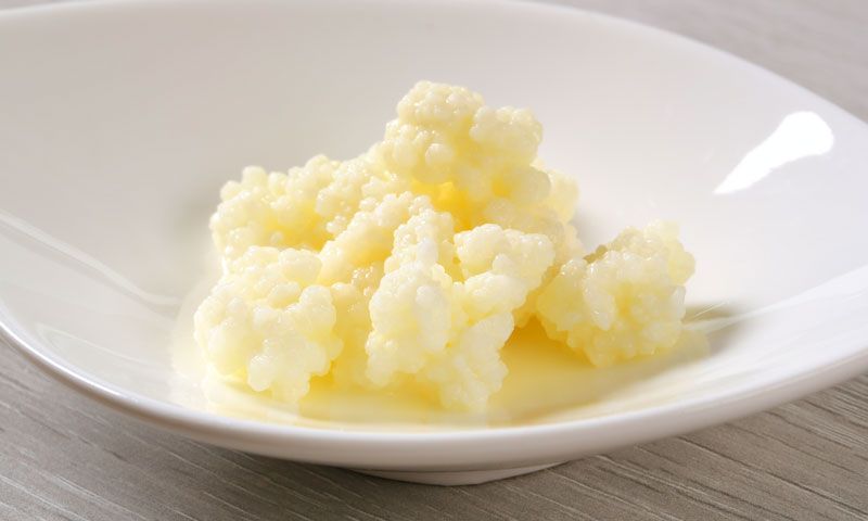 Kéfir