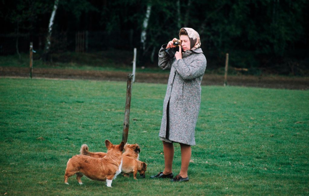 La reina, con sus corgis en 1960
