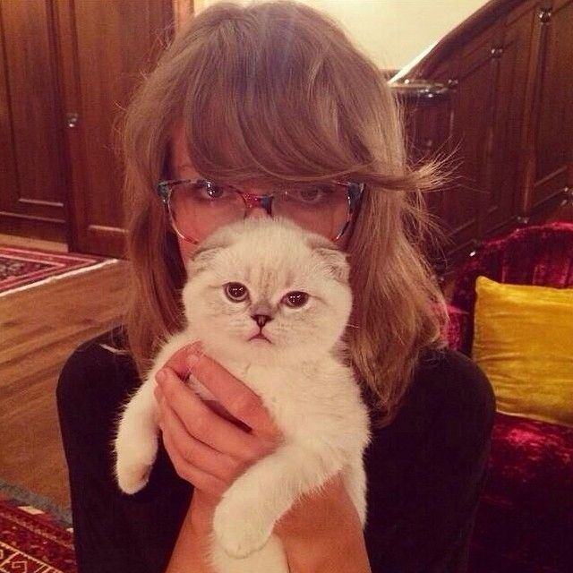 Taylor Swift con su gata Olivia Benson.