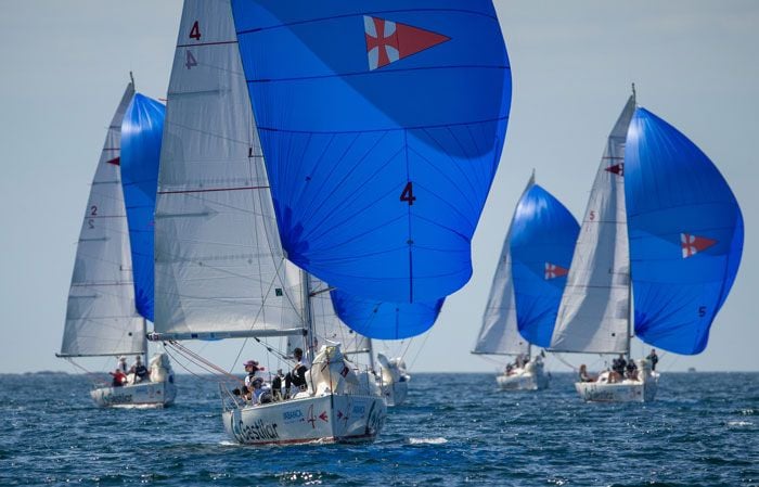 regata2