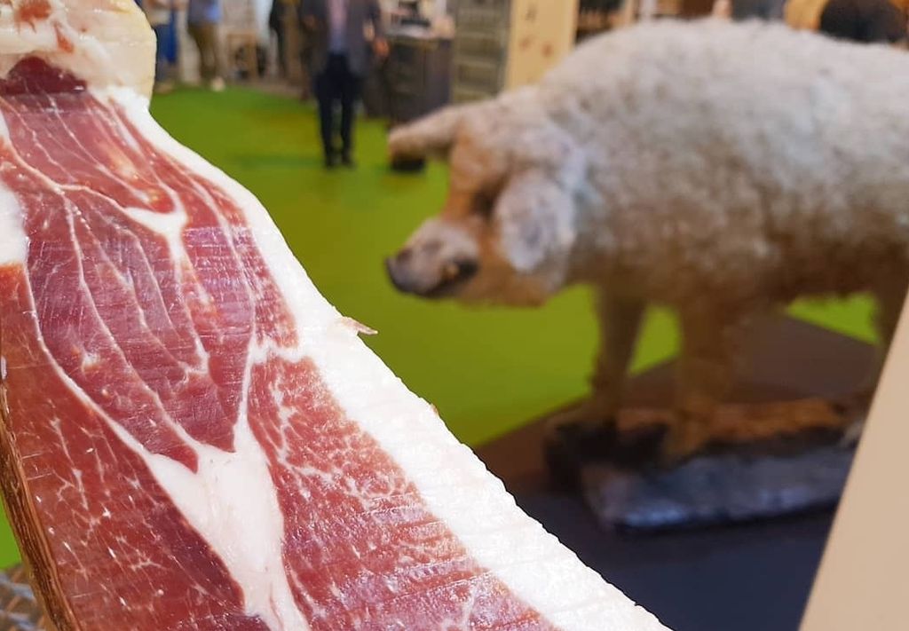 jamón de mangalica
