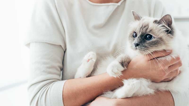 ¿Dónde puedes inspirarte para poner nombre a tu mascota? 