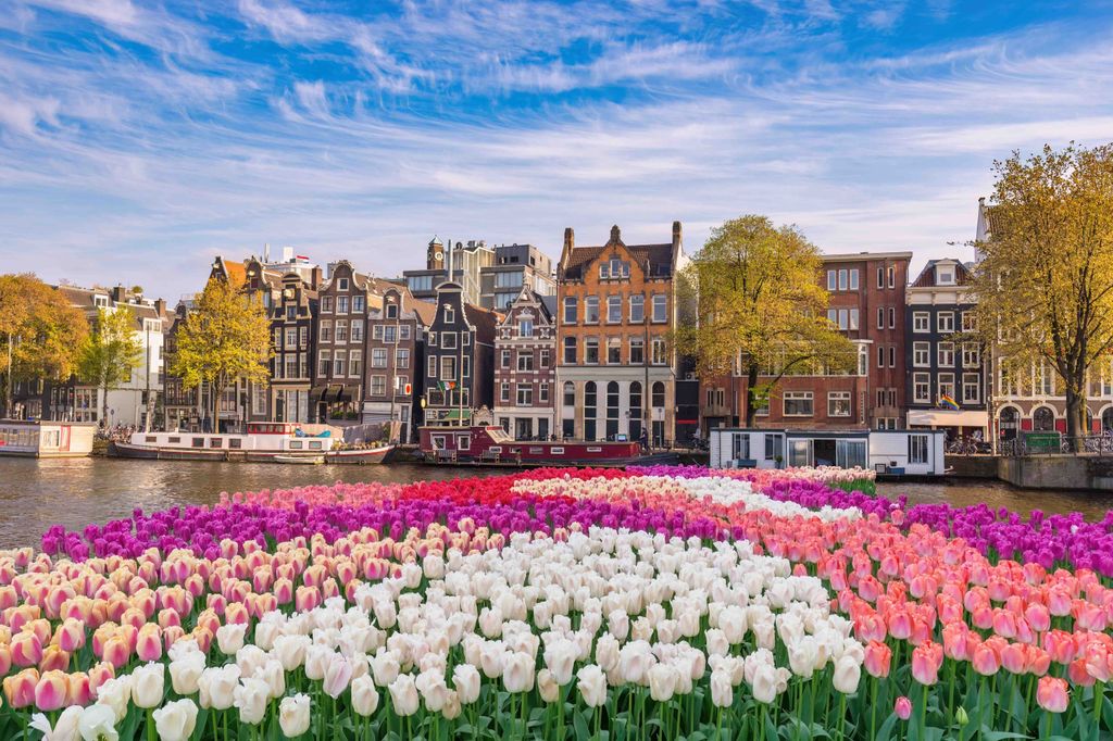 Skyline de Ámsterdam, con sus coloridos tulipanes