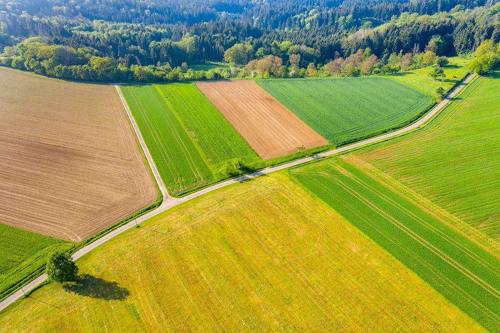 Vista aérea, carreteras, zonas agrícolas y bosques
