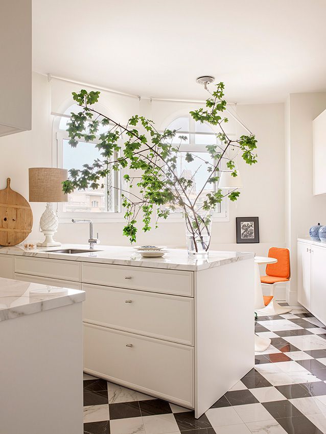 Ideas fáciles y vistosas para decorar con plantas