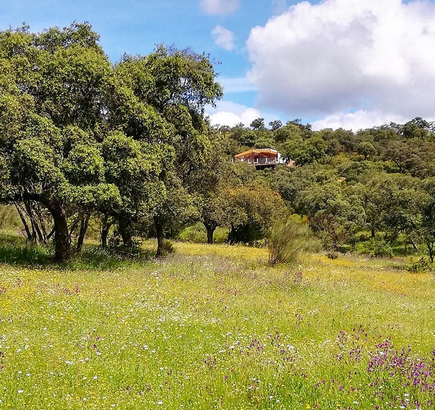 Glamping en La Dehesa Experiences, Adamuz, Córdoba