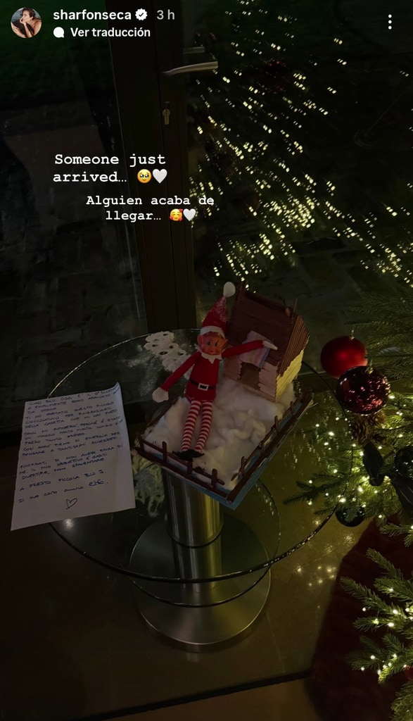 Sharon Fonseca compartió la llegada de un simpático elfo a su casa.