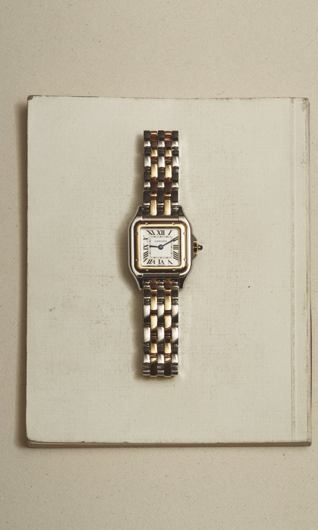 Reloj Panthère de Cartier en oro amarillo y acero.
