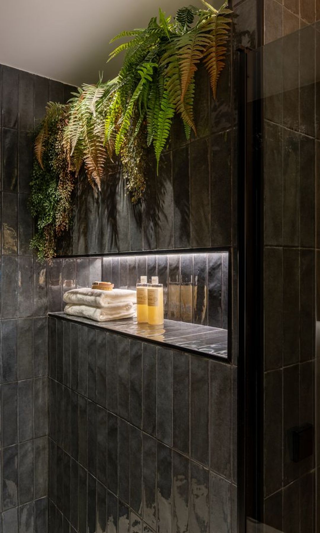 Zona de ducha con plantas en un proyecto de Düem Studio