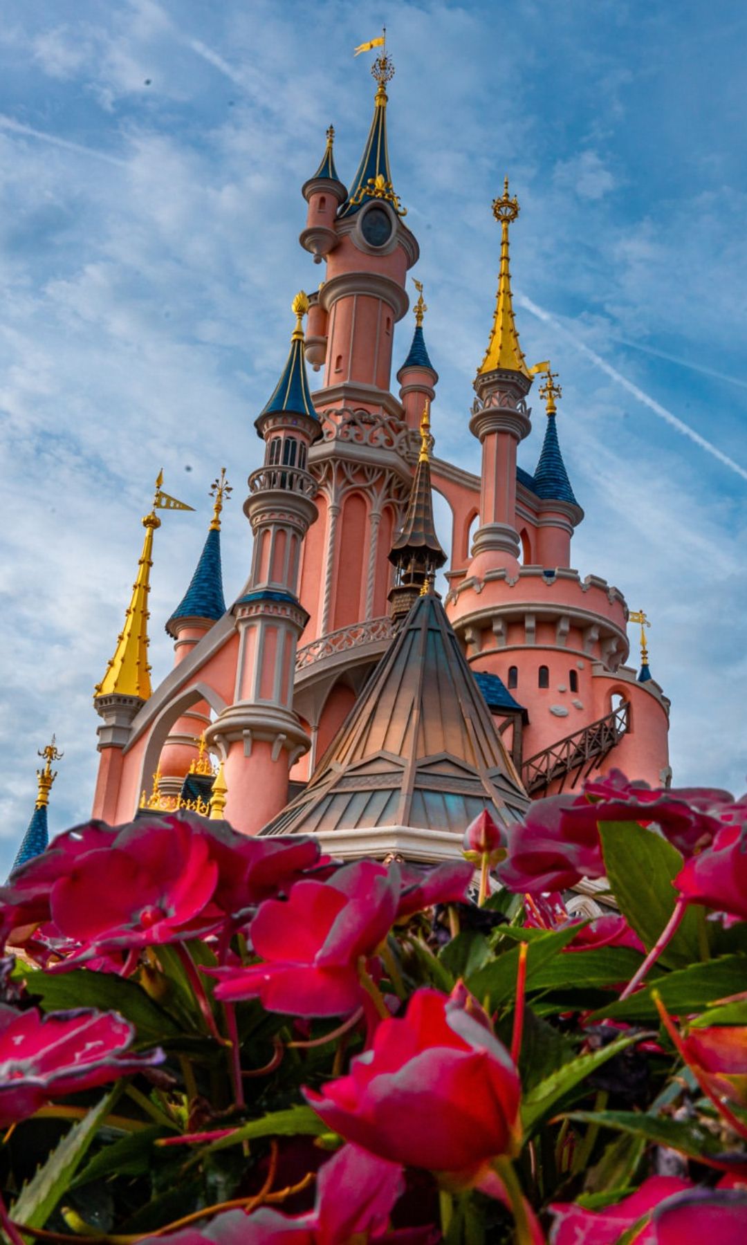 Luna de miel en Disneyland Paris