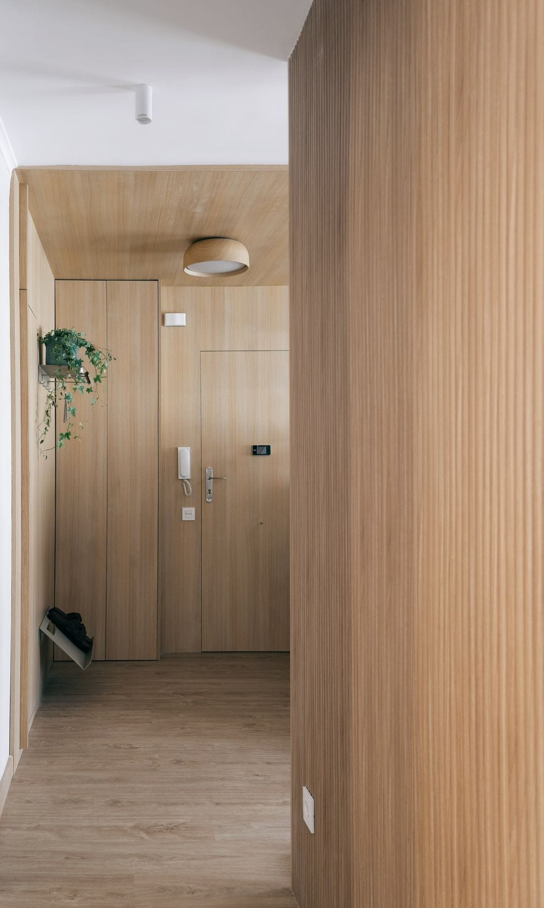 Entrada casa con paredes de madera, puerta de madera, suelo de madera, balda con planta colgante, plafón de techo, foco de techo, telefonillo