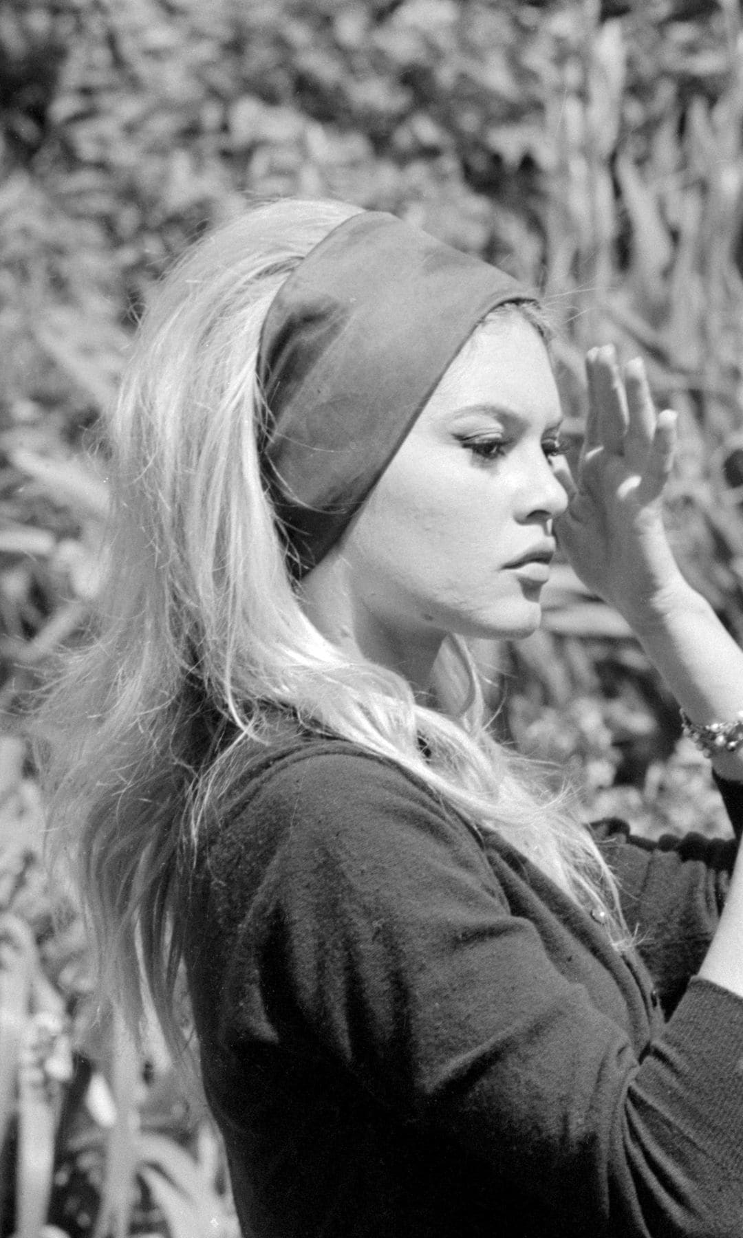 Banda para el cabello