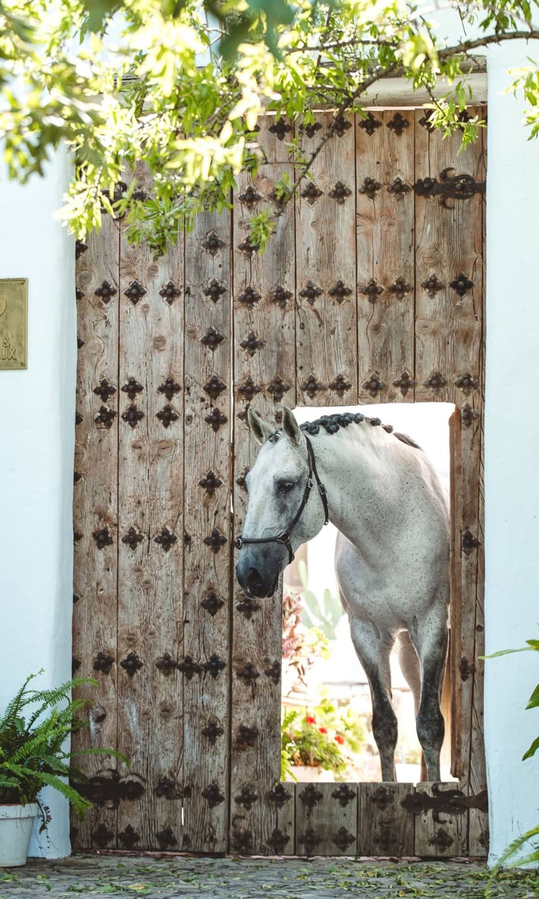 Finca La Donaira, Málaga