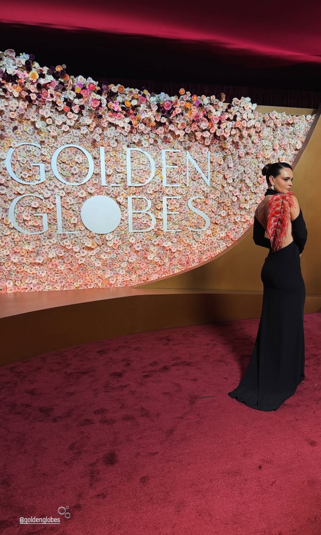 Fabiola Guajardo lució un espectacular diseño de una firma mexicana. 