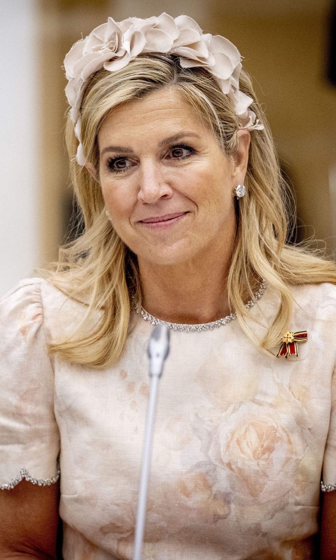 Máxima de Holanda no deja indiferente en su cita con Elke Büdenbender: diadema y el vestido de Amalia