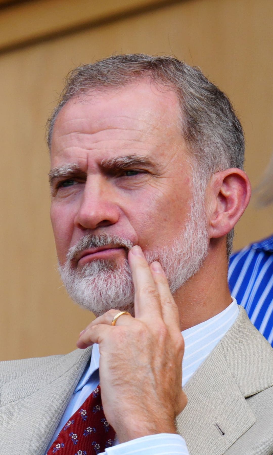 Rey Felipe VI