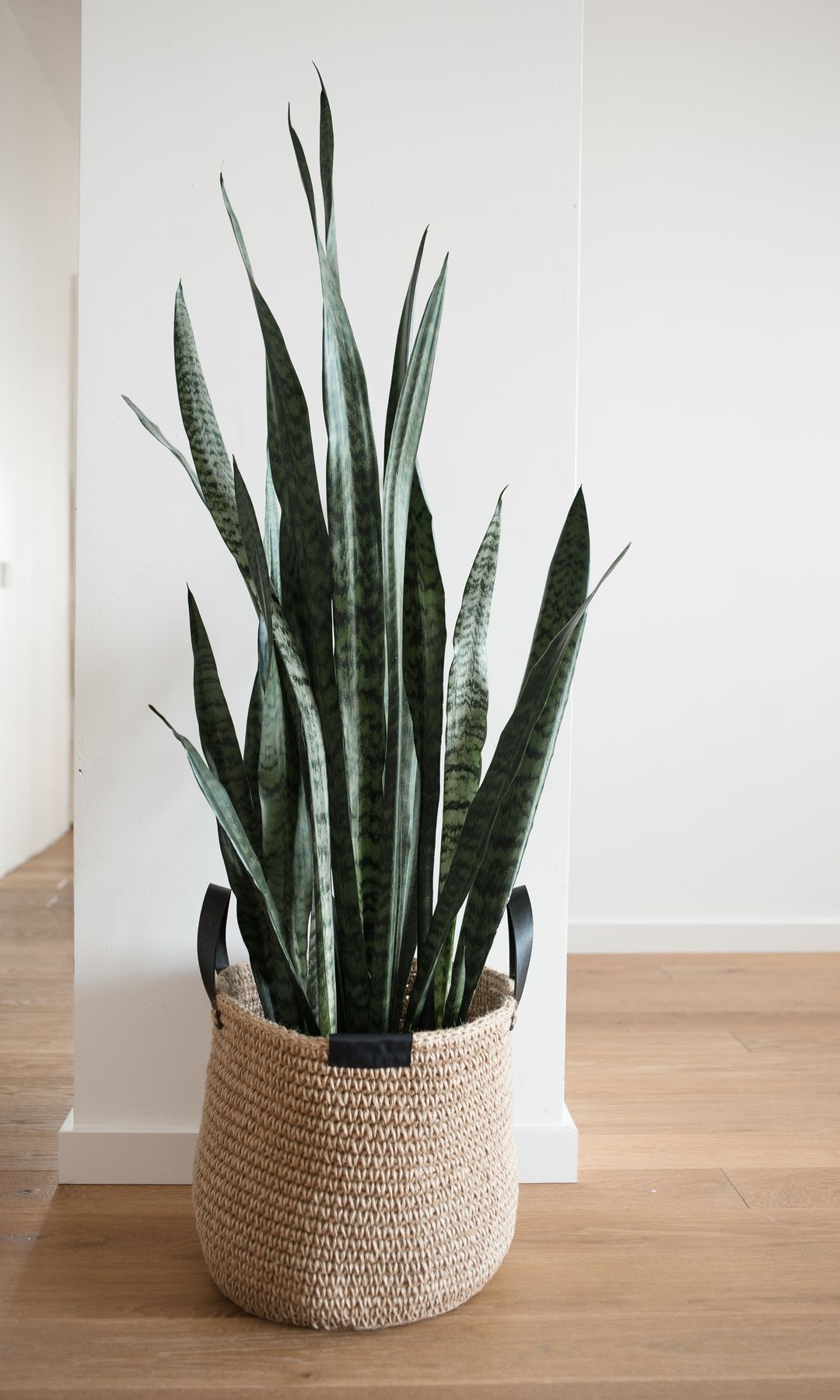 Interiorismo