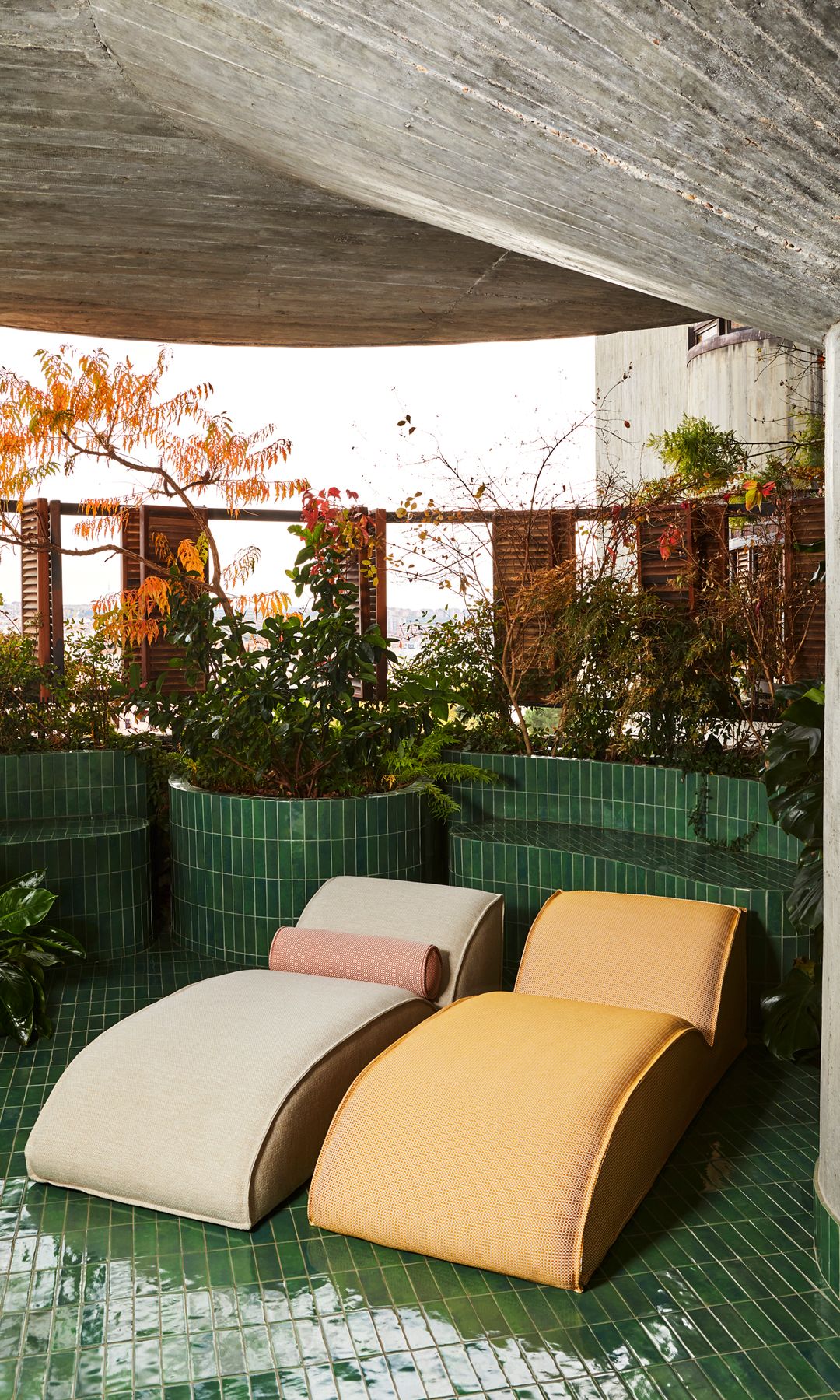 Terraza