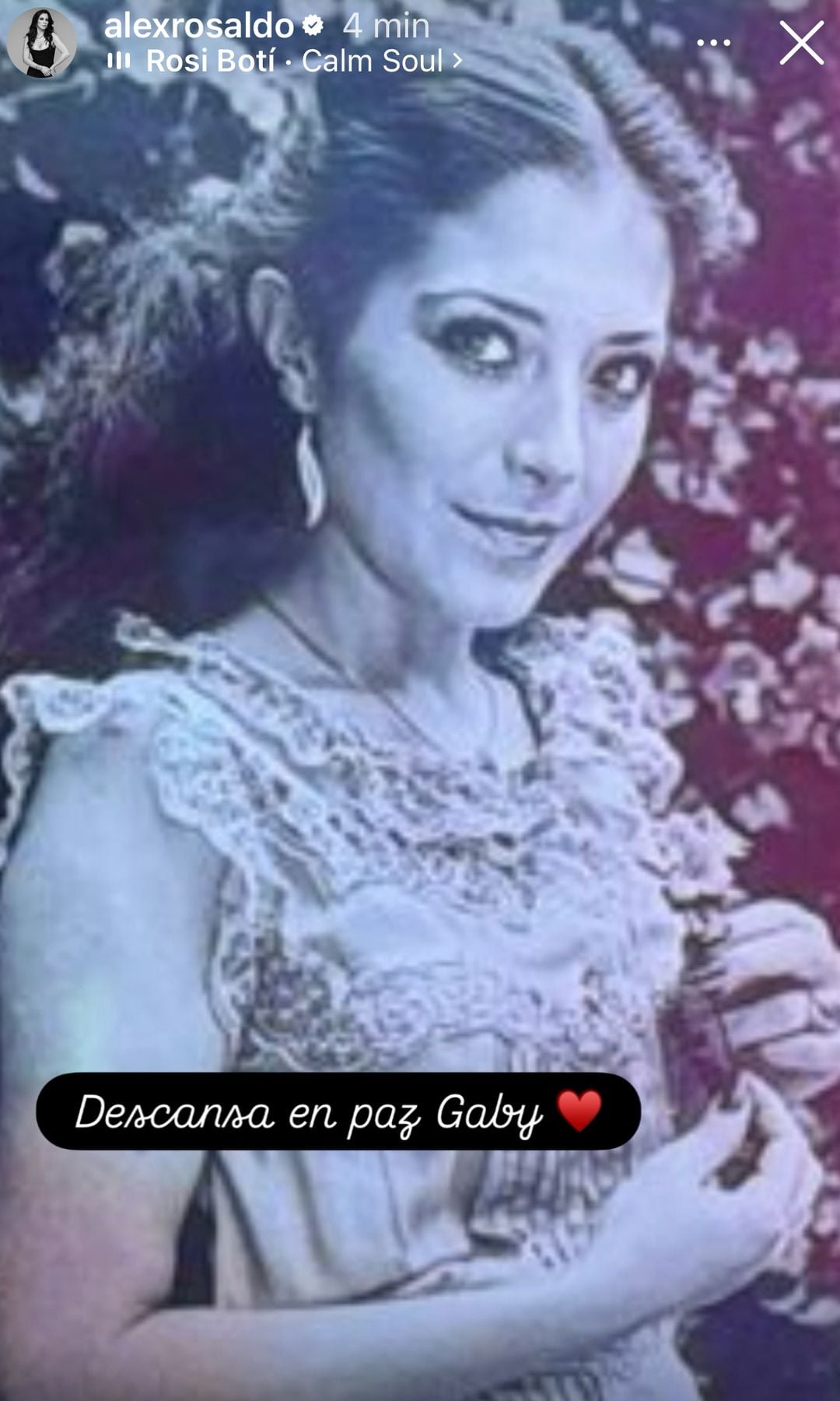 Este fue el tributo de Alessandra Rosaldo a Gabriela Michel, la madre de Aislinn Derbez.