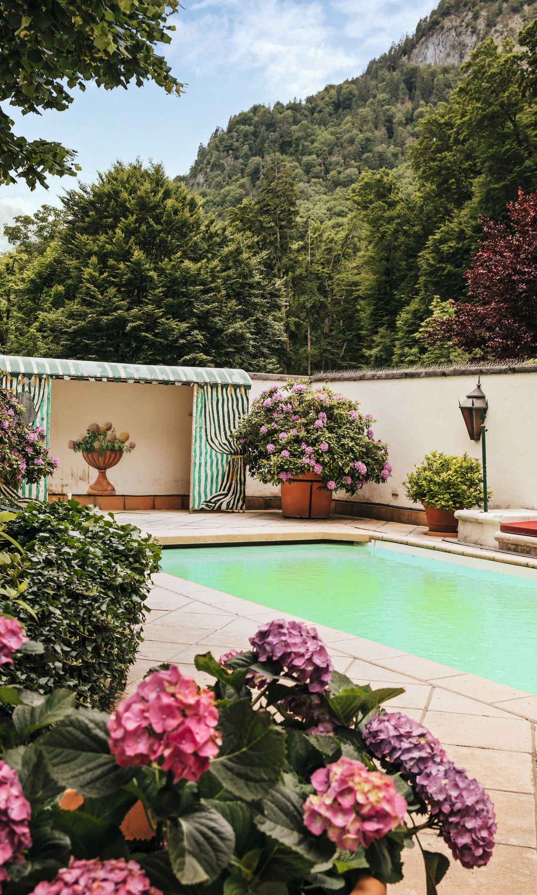 Patio con piscina, flores, y vegetación