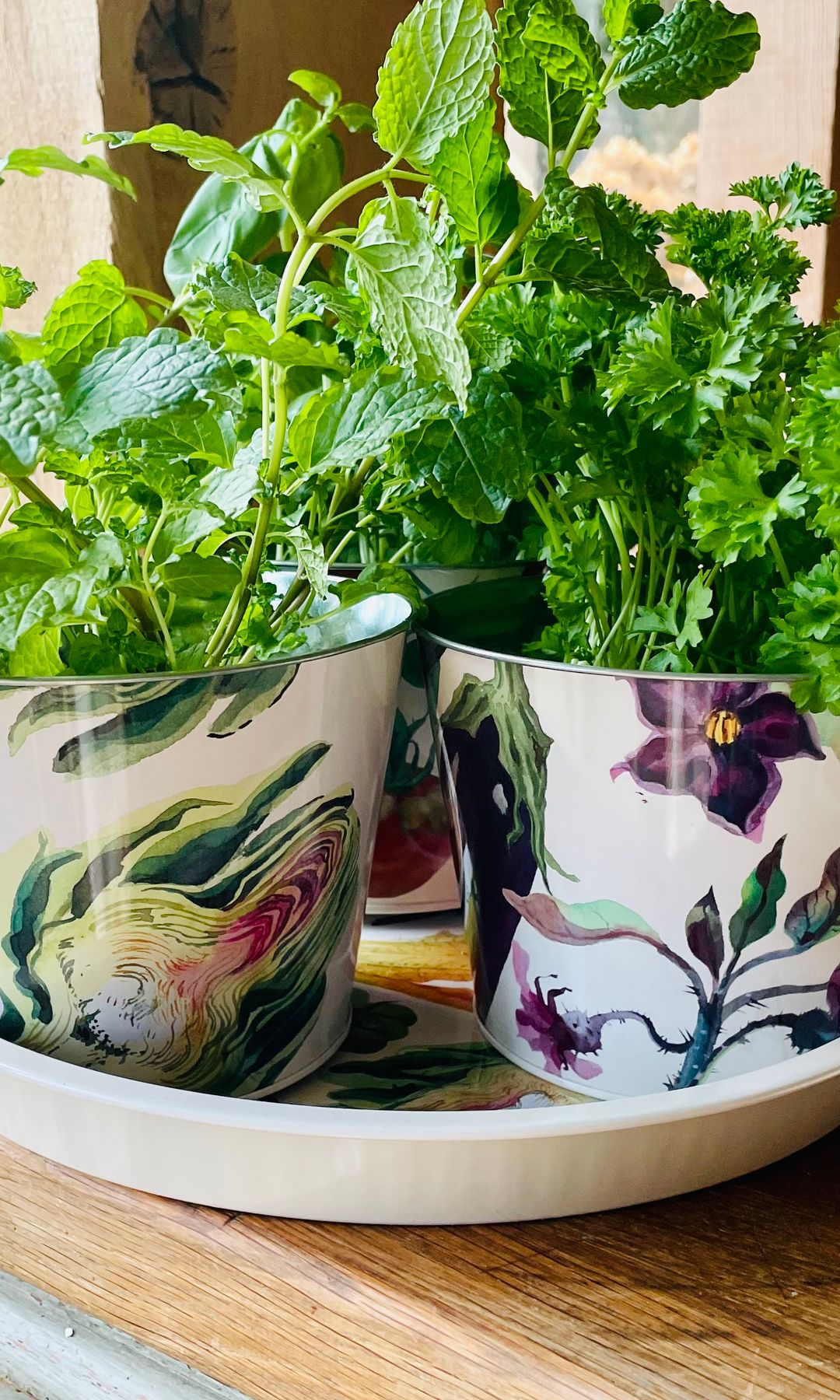 Plantas verdes en macetas decoradas
