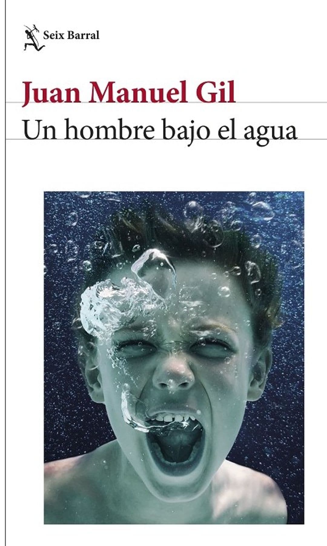 libro un hombre bajo el agua