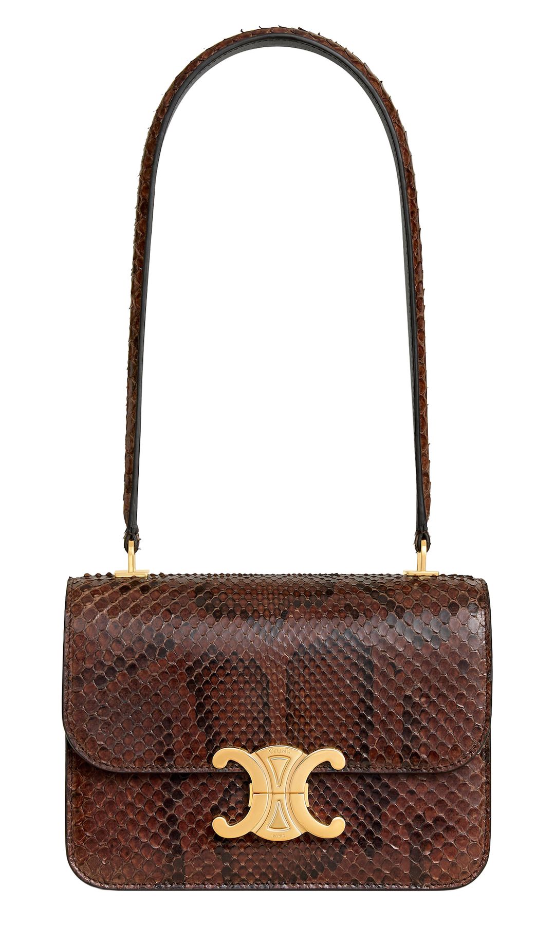 Bolso Teen Garance, en piel de pitón (4.400 €), de Celine