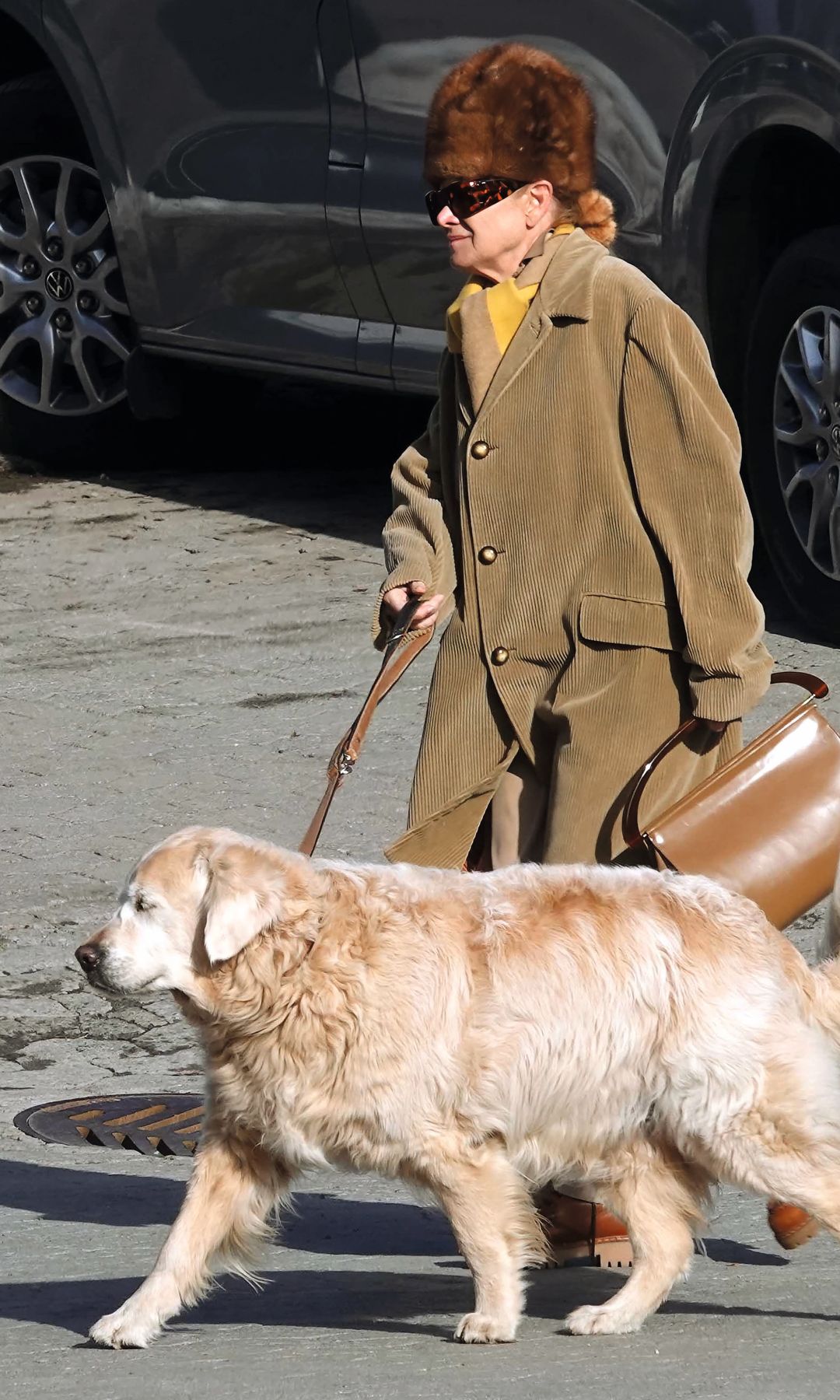 Lady Elena Foster paseando con su perro por St. Moritz. La experta en arte, que nunca deja a nadie indiferente con sus estilismos, eligió para la ocasión un llamativo gorro de pelo marrón y gafas de sol a juego