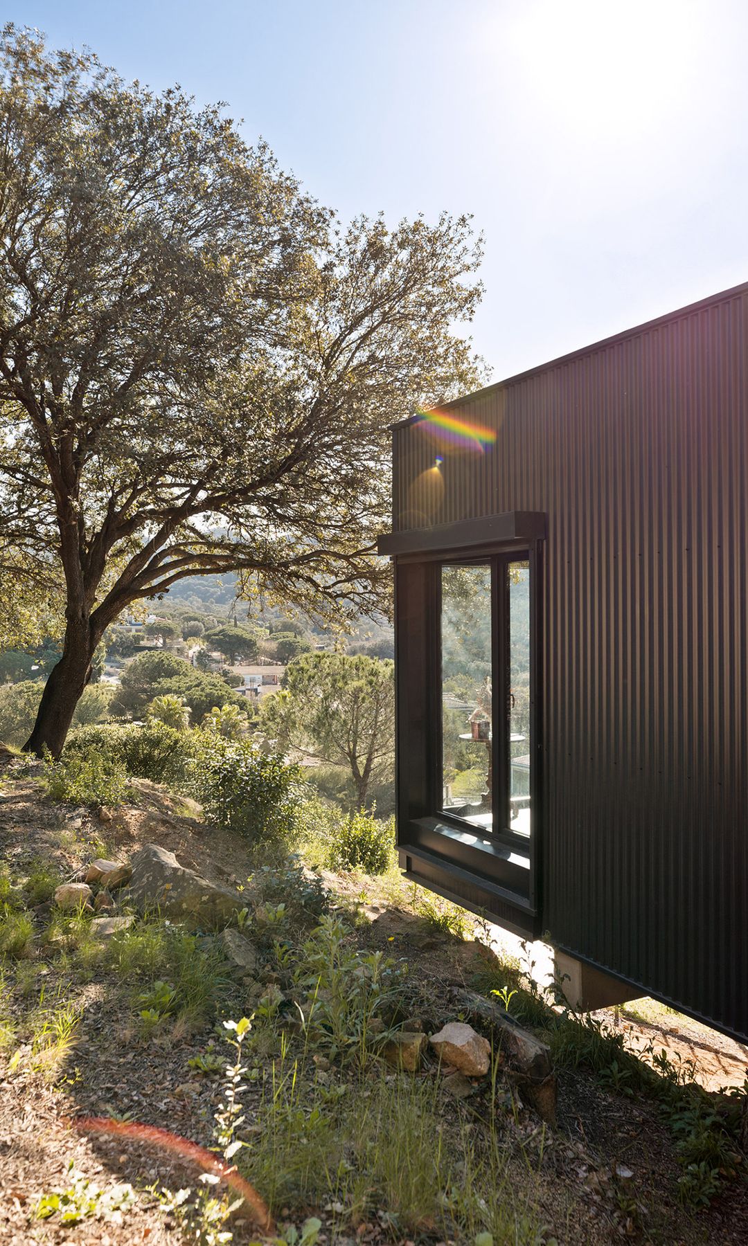 Casa con fachada negra, en bosque y ventanal