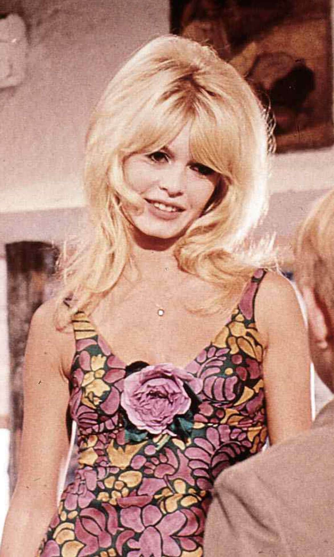 'Querida Brigitte' (1965)