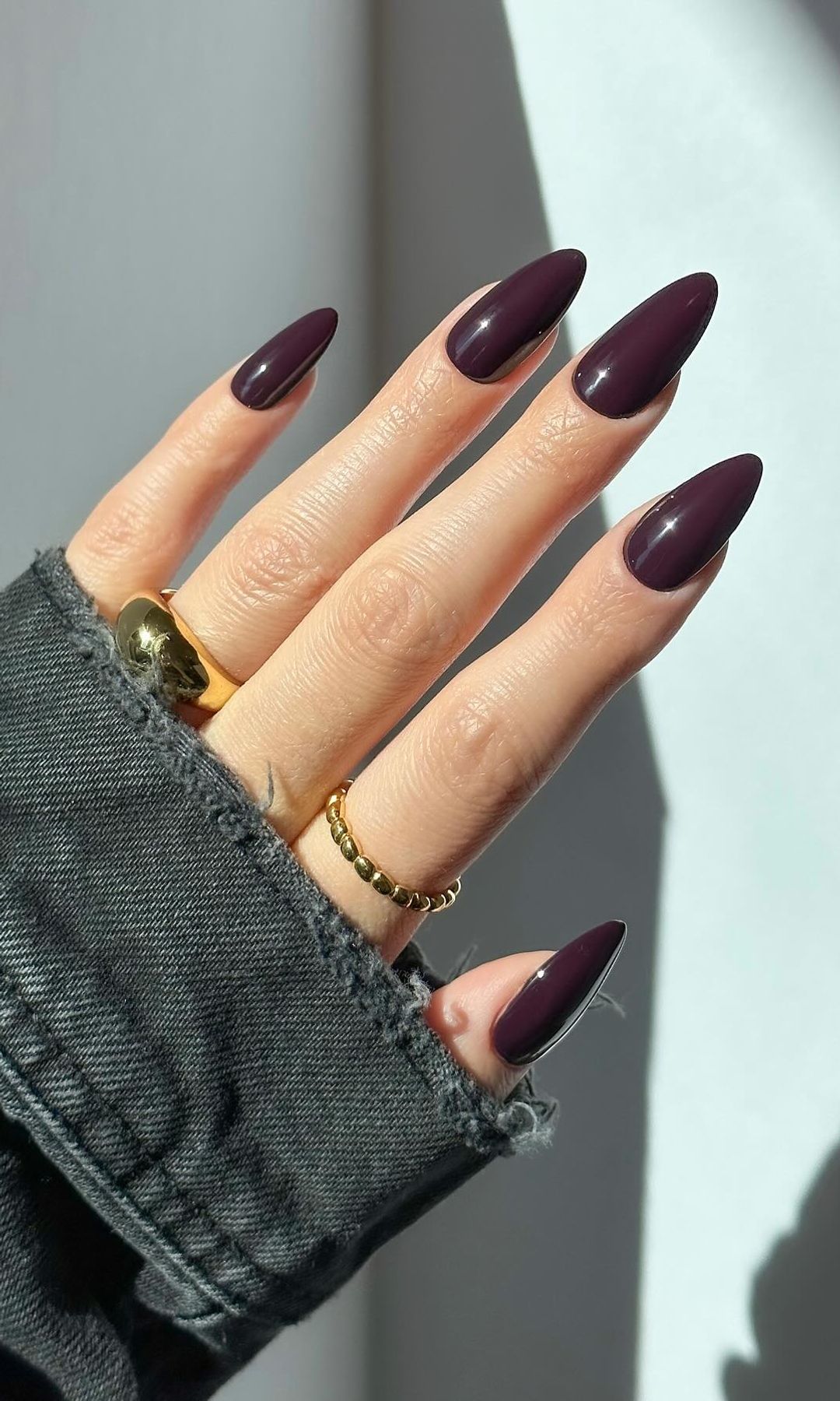 Manicura violeta