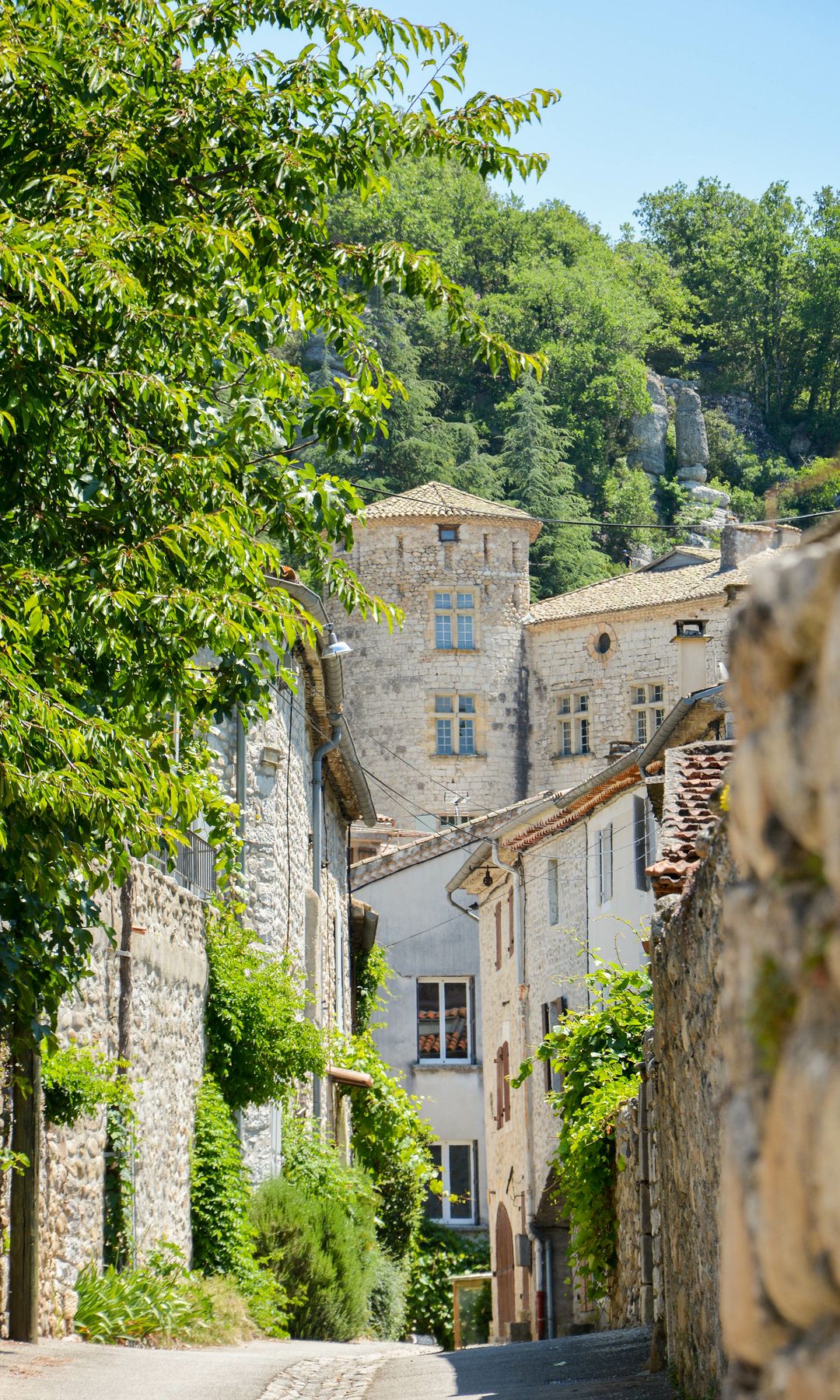 Vogüé, Reserva Natural de las Gargantas del Ardèche, Francia