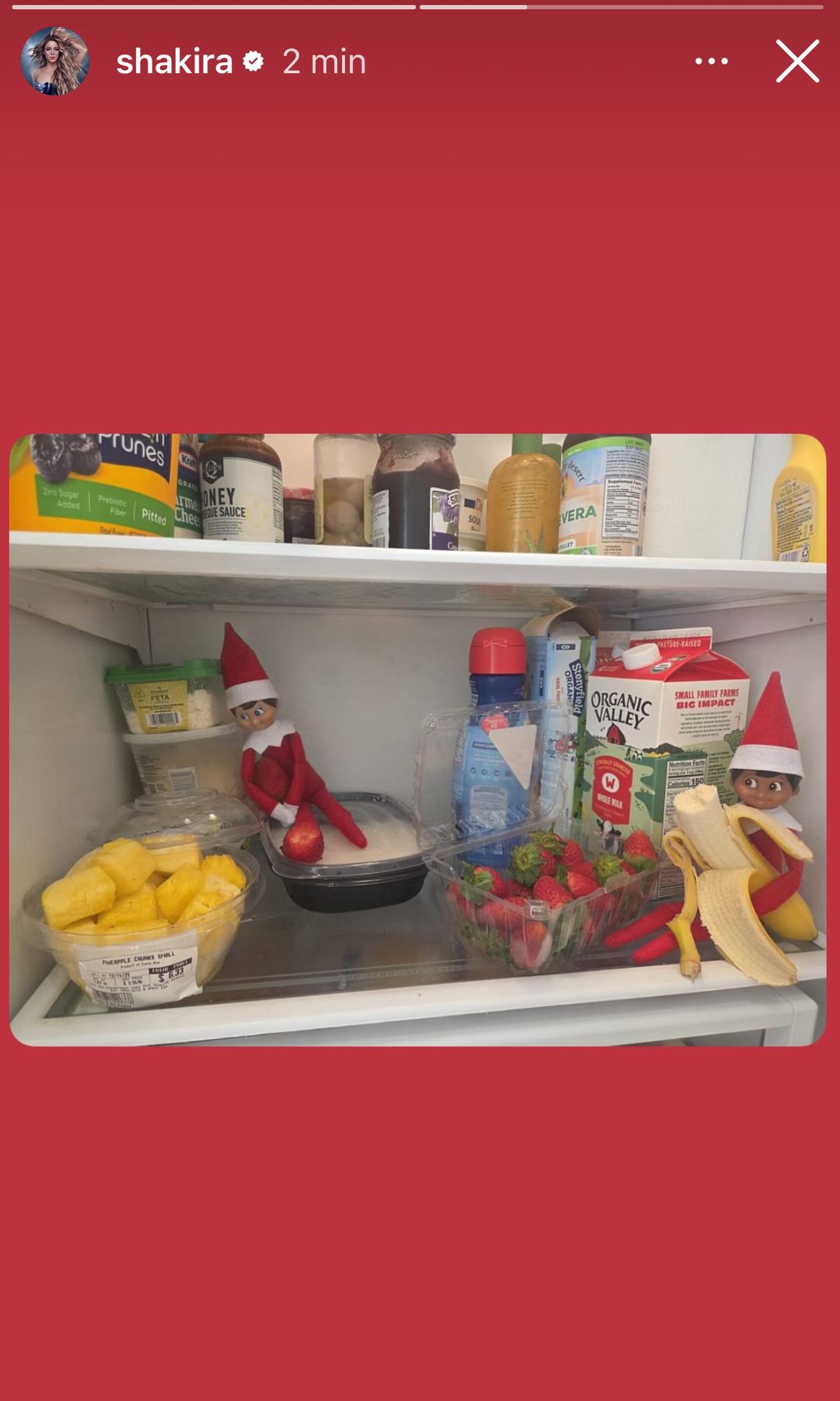 Los elfos traviesos se metieron hasta la cocina.