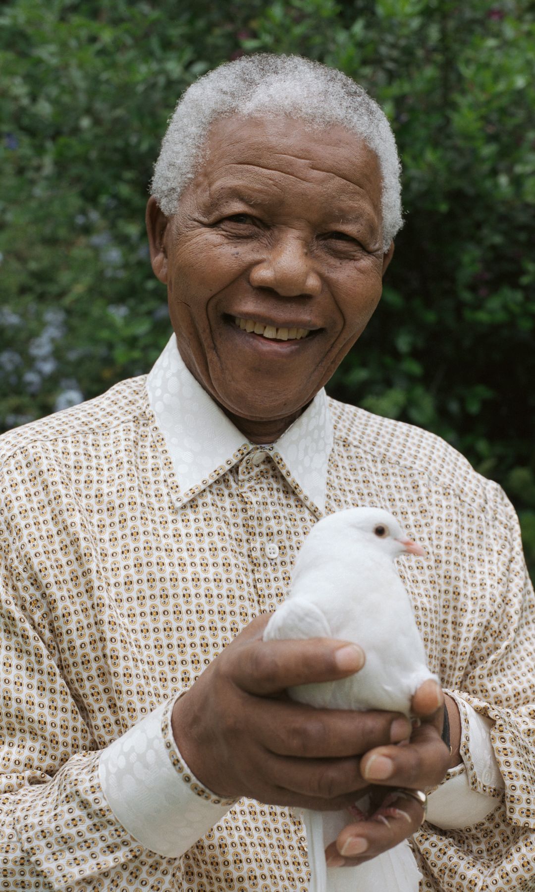 Nelson Mandela Premio Nobel de la paz