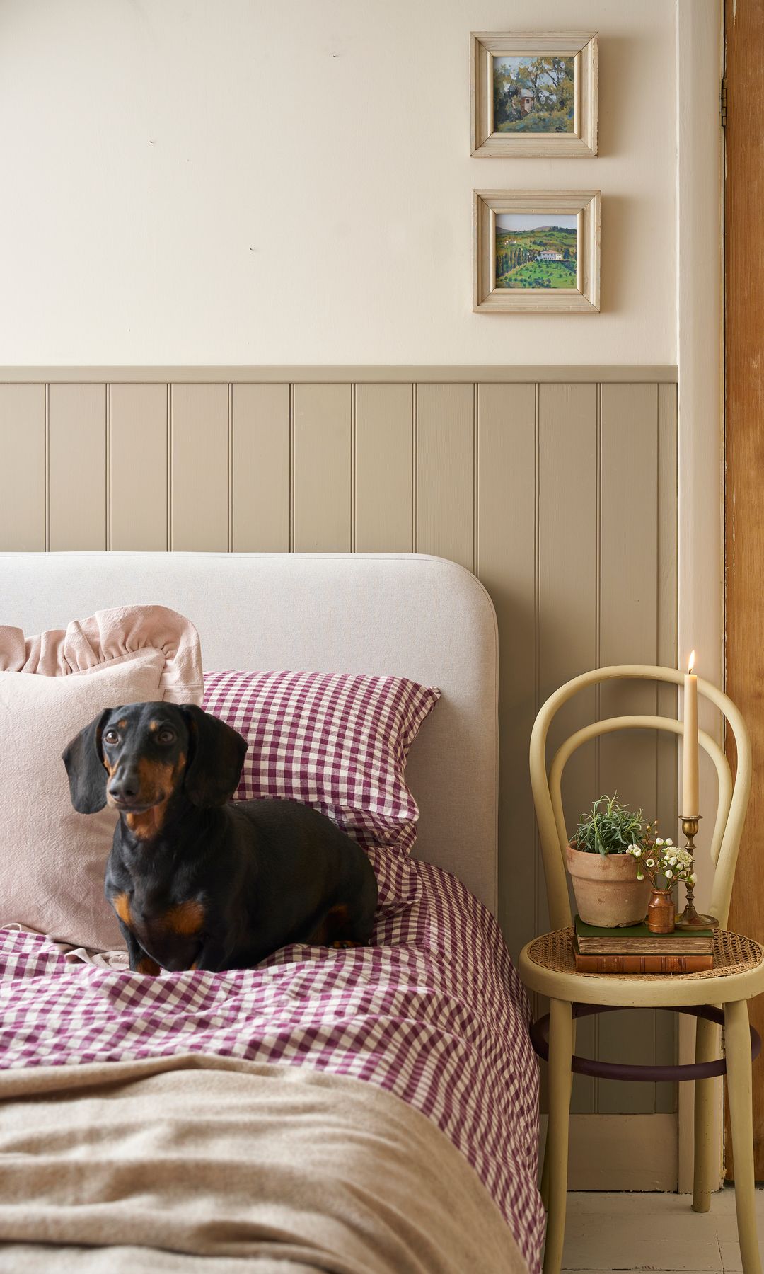 Dormitorio con zócalo alto de lamas en color beige, pared en crema, ropa de cuadros rojos y blancos y perro salchicha en la cama