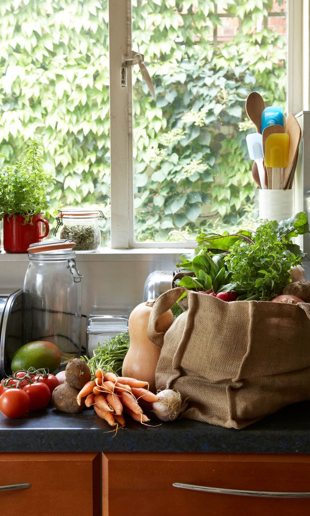 Una bolsa de la compra con comida saludable en la encimera de una cocina