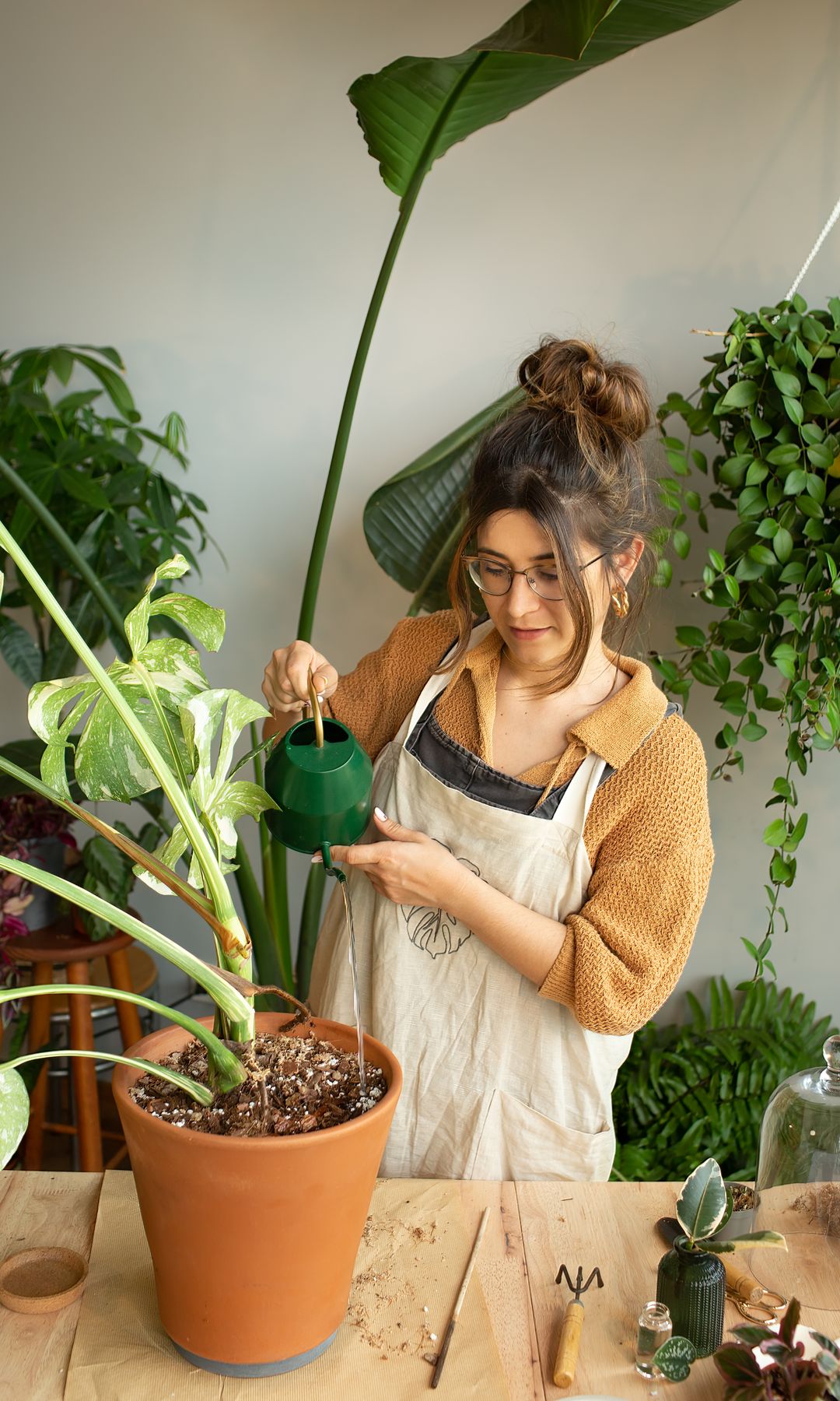 Clara Redondo (@plantitiscronica), autora de Hogar, verde hogar