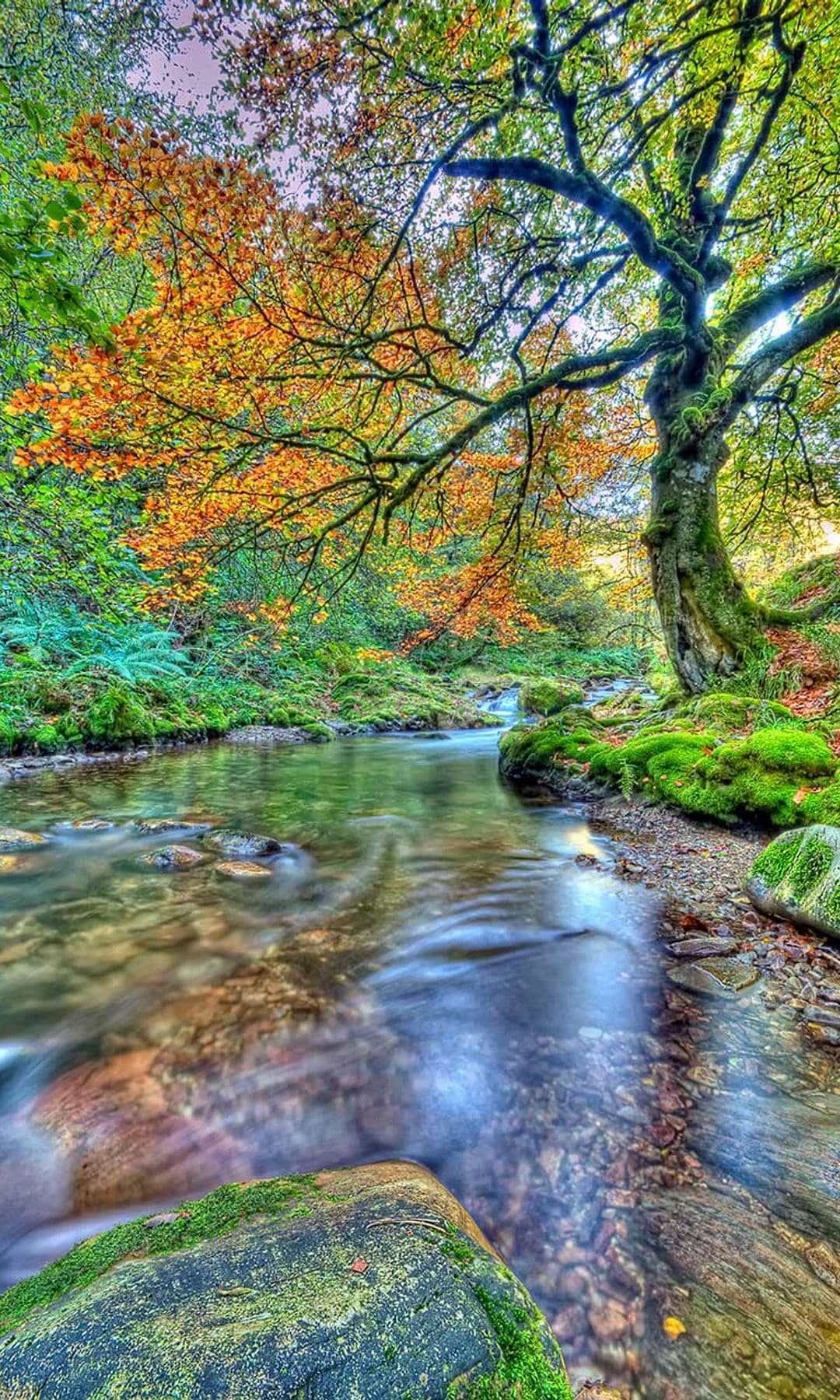 muniellos asturias