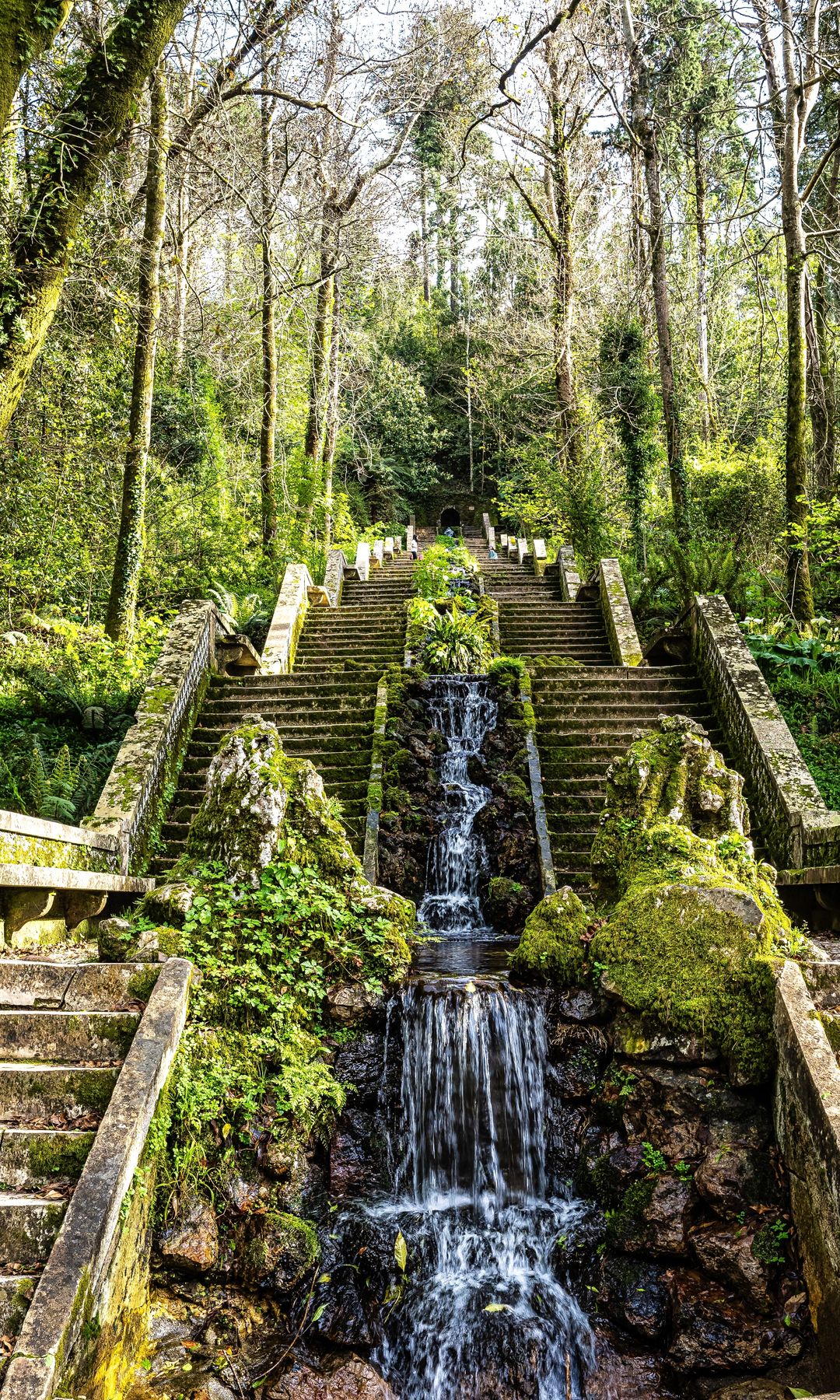 Fonte Fria, Bosque de Bussaco, Portugal