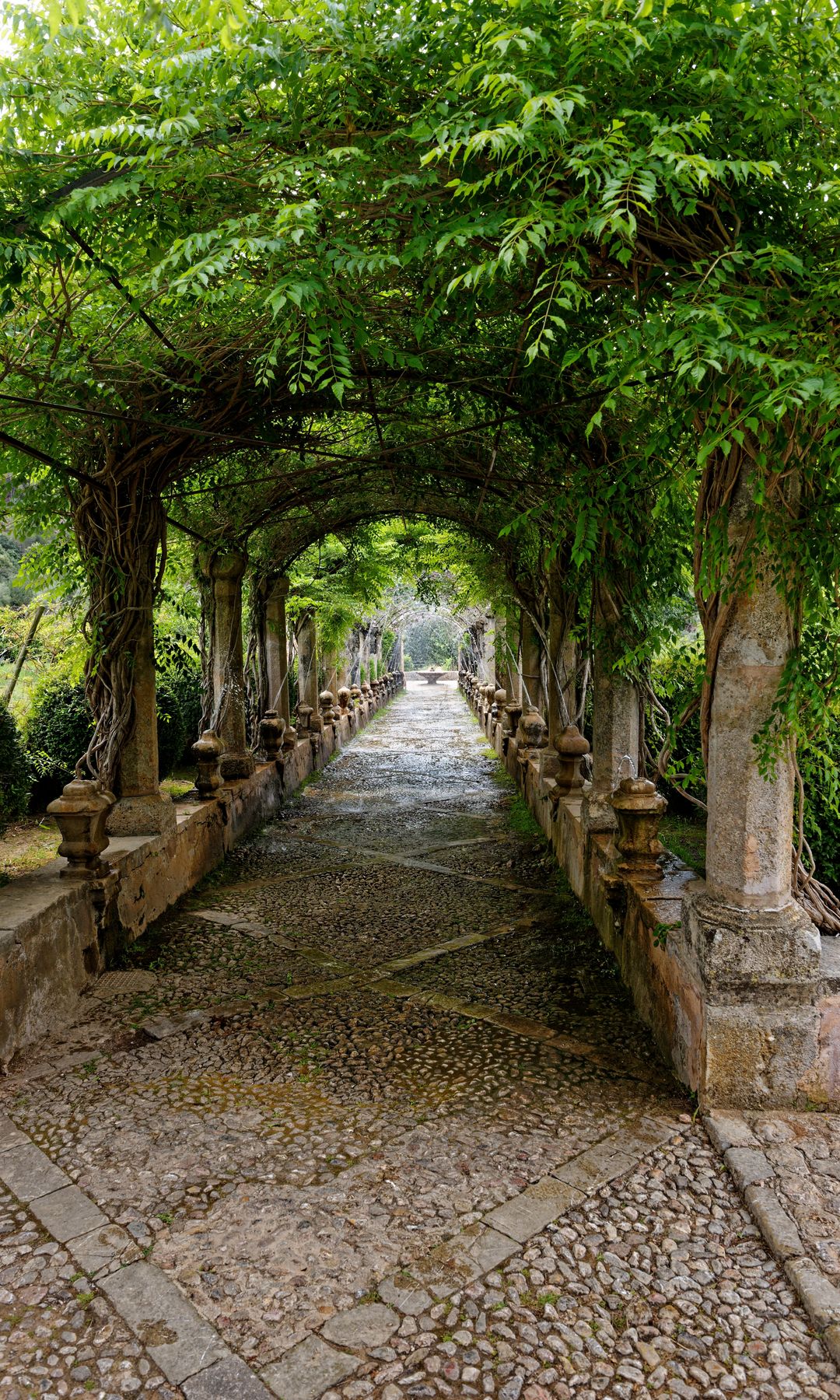 Jardines de Alfàbia en Mallorca