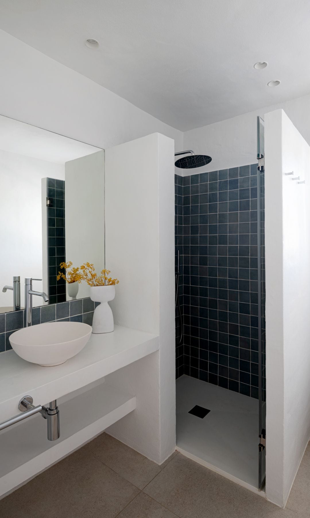 Baño con ducha