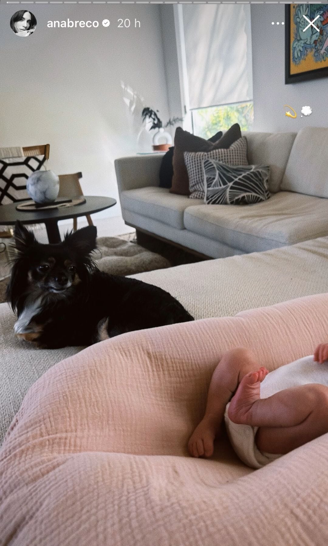 Tomasa, una de las perritas de Ana Brenda, con la pequeña Aria.