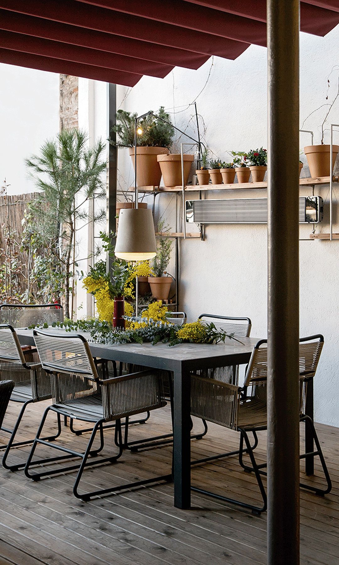 Comedor en el exterior, con flores de mimosa, estanterías con macetas, suelo de madera, sillas de rejilla