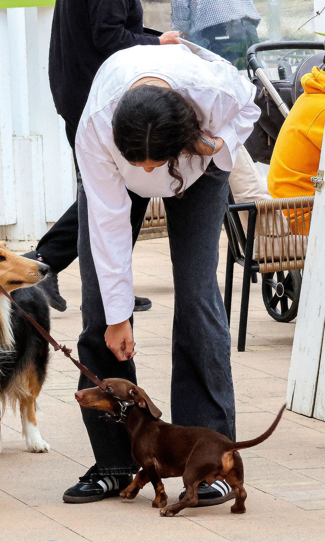 Victoria de Marichalar acariciando un perro