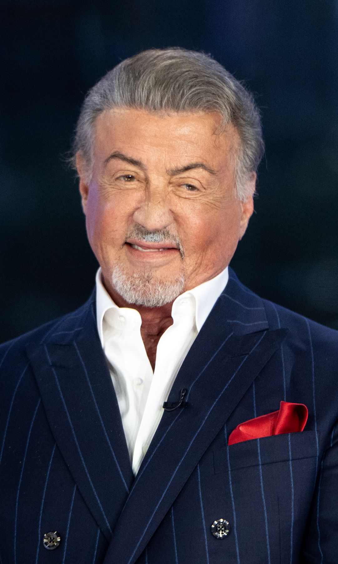 Un retrato de Sylvester Stallone 