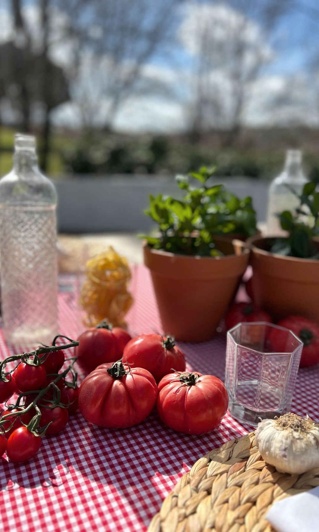 SABOR TRADICIONAL
Detalle de los tomates a modo de decoración y botes de cristal con pasta fresca