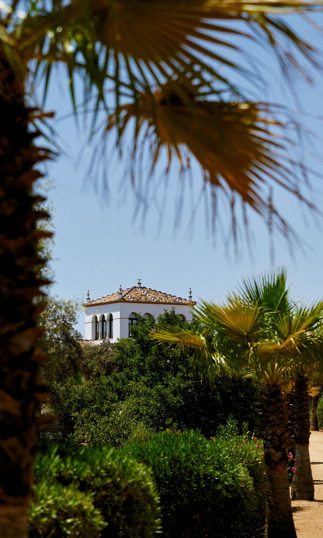 ANDRÉS ROCA REY EL DIESTRO QUE BATE RÉCORDS, REFLEXIONES CON "¡HOLA!" EN "LA CONSENTIDA", SU FINCA SEVILLANA, SOBRE LOS SUEÑOS CUMPLIDOS, LA FAMILIA Y EL AMOR 