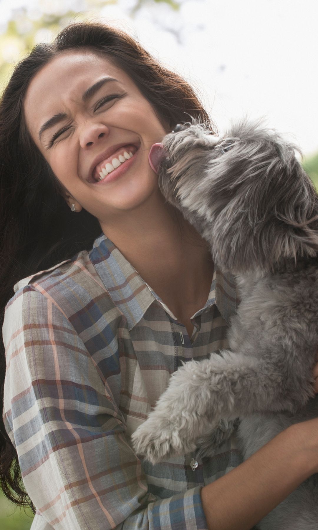 Los lamidos de un perro pueden parecer simples muestras de cariño, pero también son una forma de buscar atención, contacto y pertenencia dentro del grupo familiar